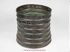 Foto von Bronzerippenciste (NHMW-PRAE-024511)